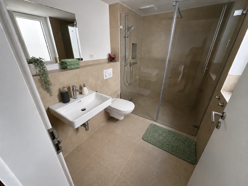 Lower-ground en-suite bathroom with shower and WC
